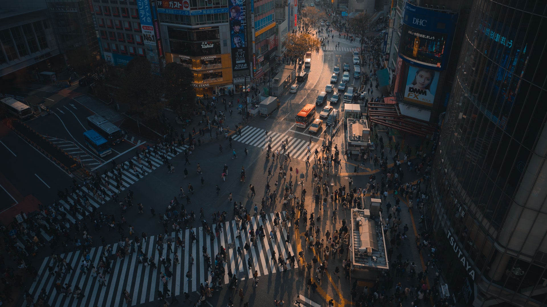 Introducing: My photography guide to Tokyo