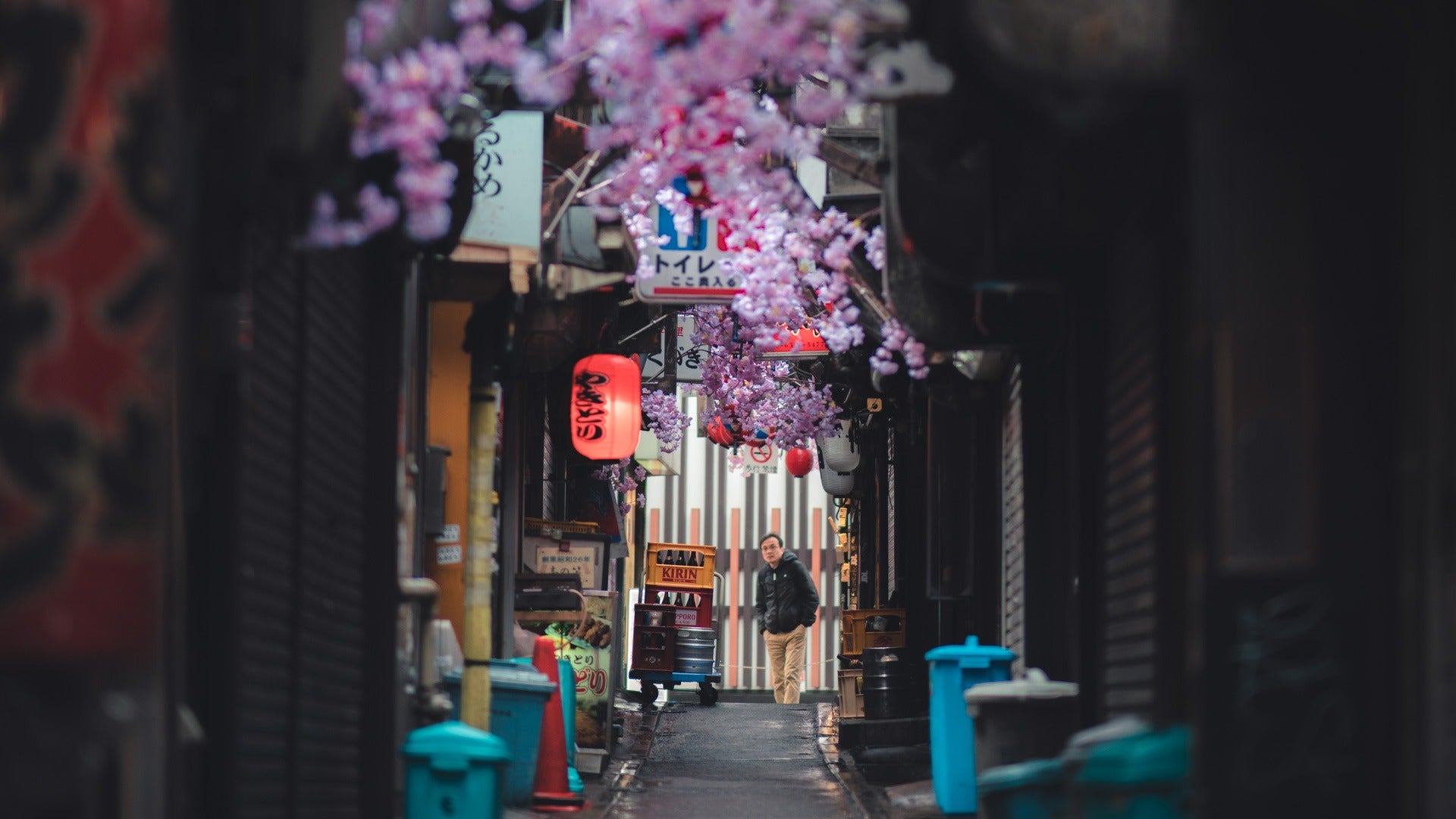 Shinjuku Omoide Yokocho - alleys filled with culture and Yakitori - Pat Kay Away