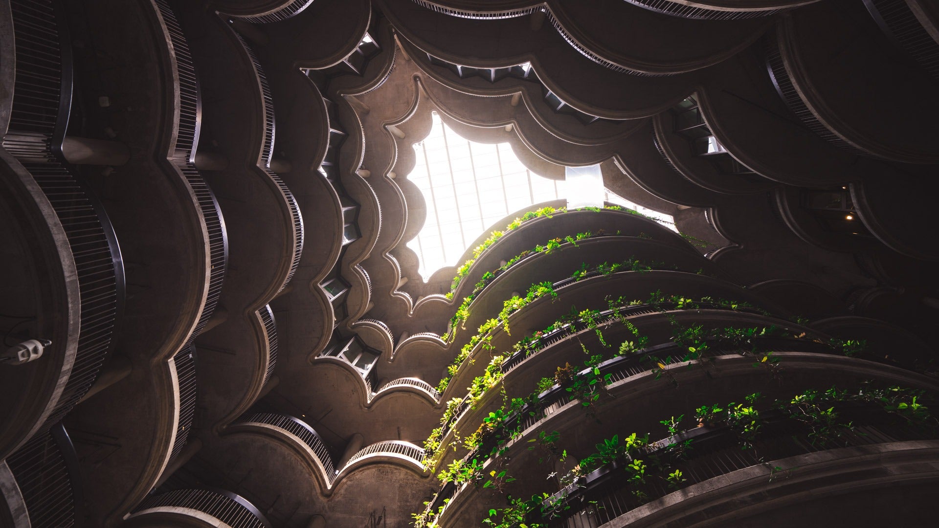 The Hive NTU - Pat Kay Away