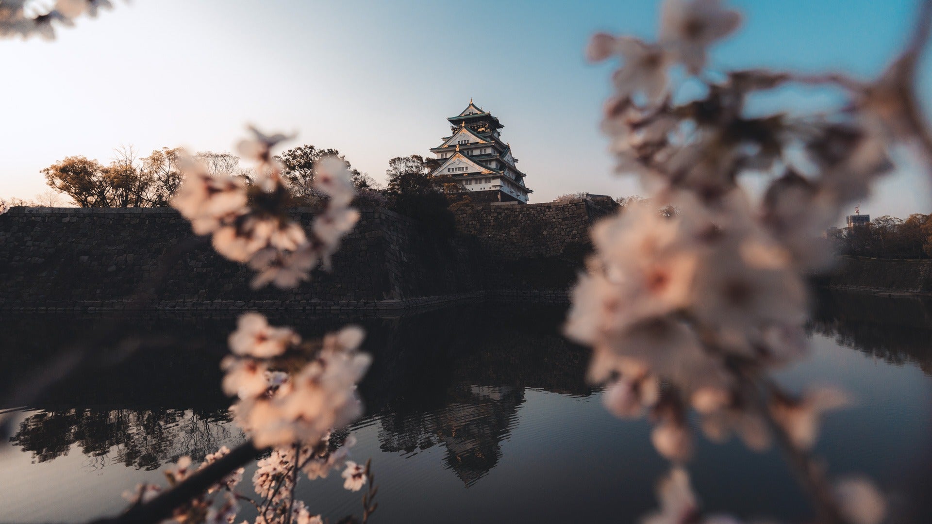 Best travel tips - Pat Kay Blog