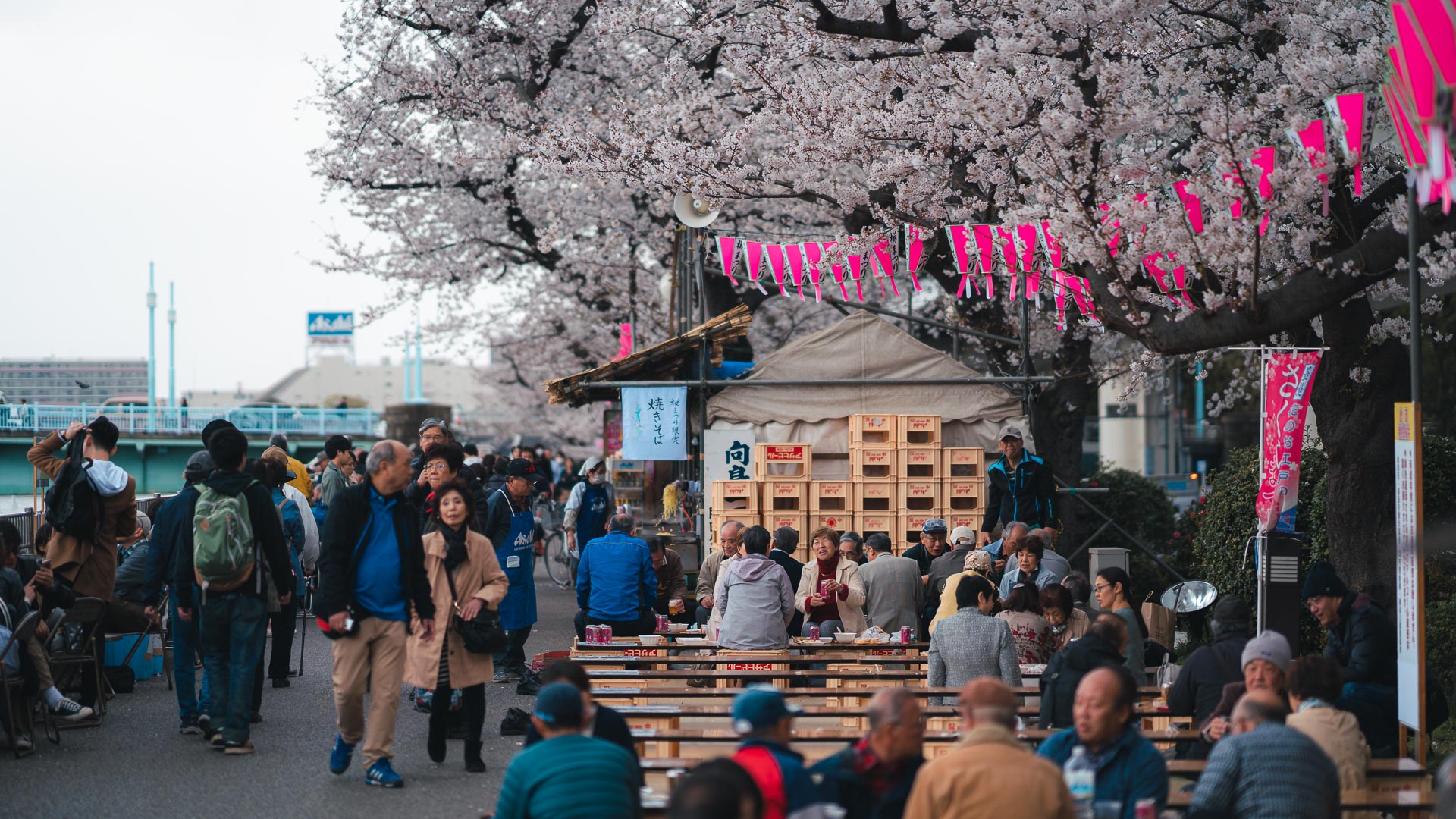 When is the best time to visit Japan - Pat kay Blog
