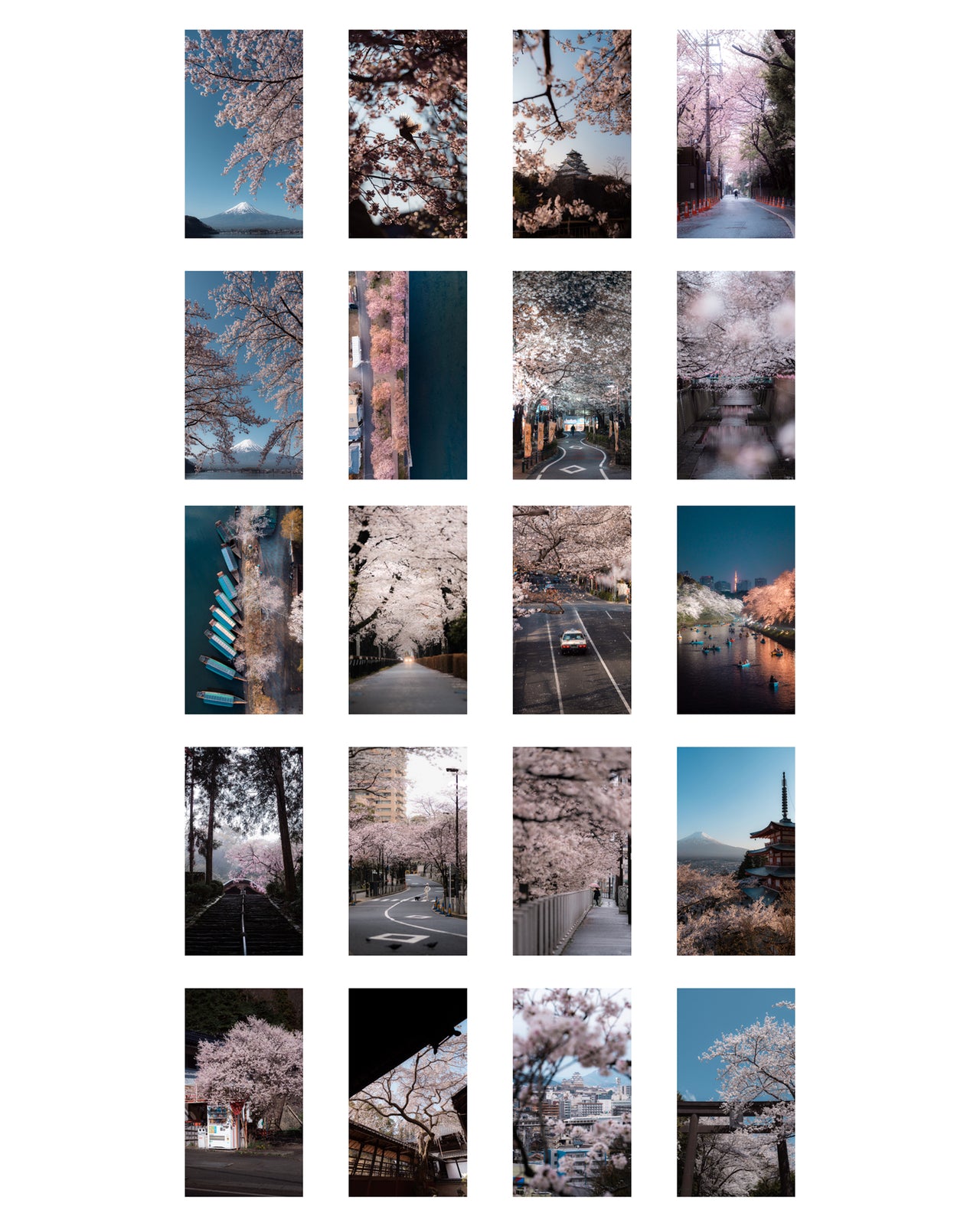 Cherry Blossoms - Mobile Wallpaper Pack - Vol 1