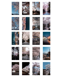 Thumbnail for Cherry Blossoms - Mobile Wallpaper Pack - Vol 1