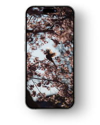 Thumbnail for Cherry Blossoms - Mobile Wallpaper Pack - Vol 1