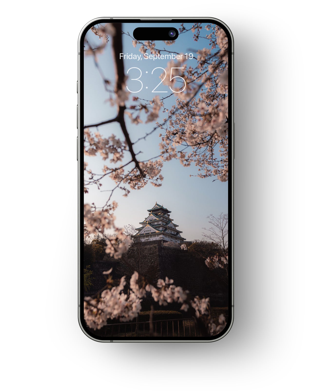 Cherry Blossoms - Mobile Wallpaper Pack - Vol 1