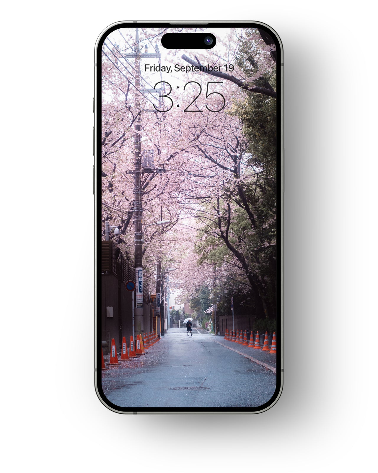 Cherry Blossoms - Mobile Wallpaper Pack - Vol 1