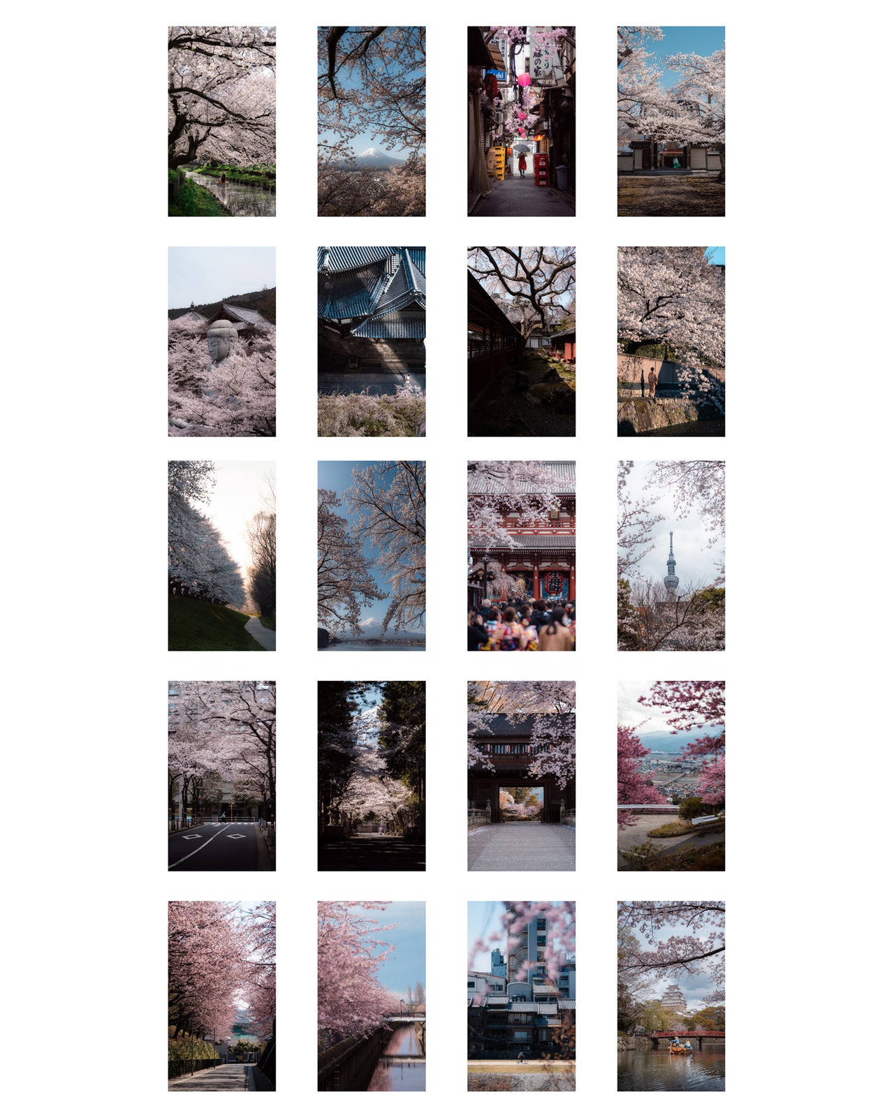 Cherry Blossoms - Mobile Wallpaper Pack - Vol 2