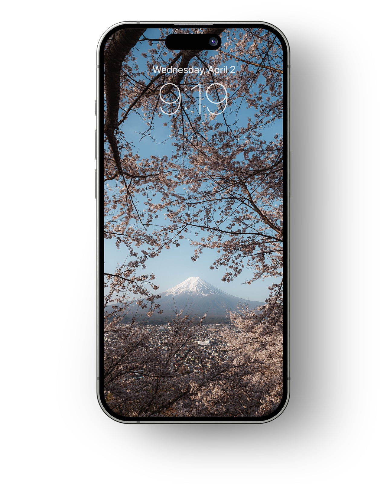 Cherry Blossoms - Mobile Wallpaper Pack - Vol 2