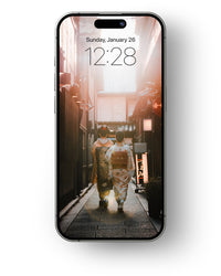 Thumbnail for Kyoto - Mobile Wallpaper Pack - Vol 1