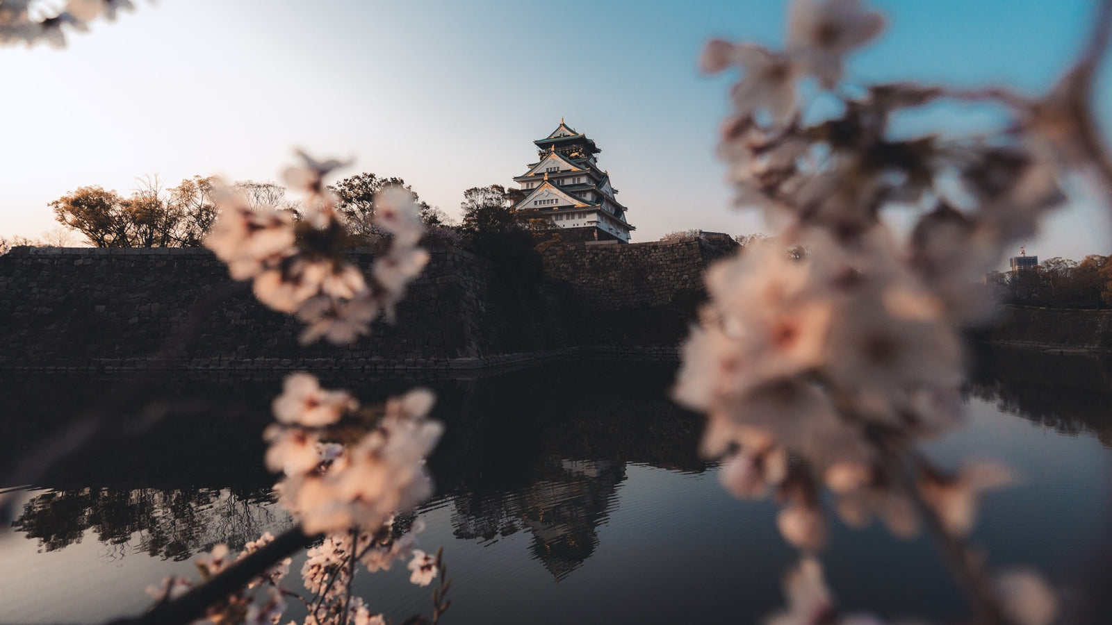 Best travel tips - Pat Kay Blog