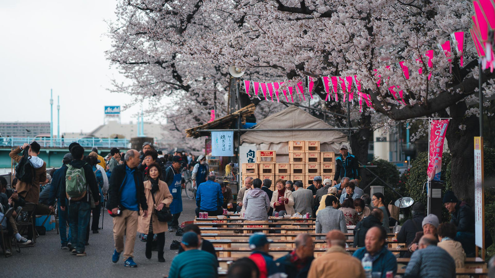 When is the best time to visit Japan - Pat kay Blog
