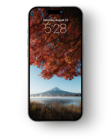 Home screen