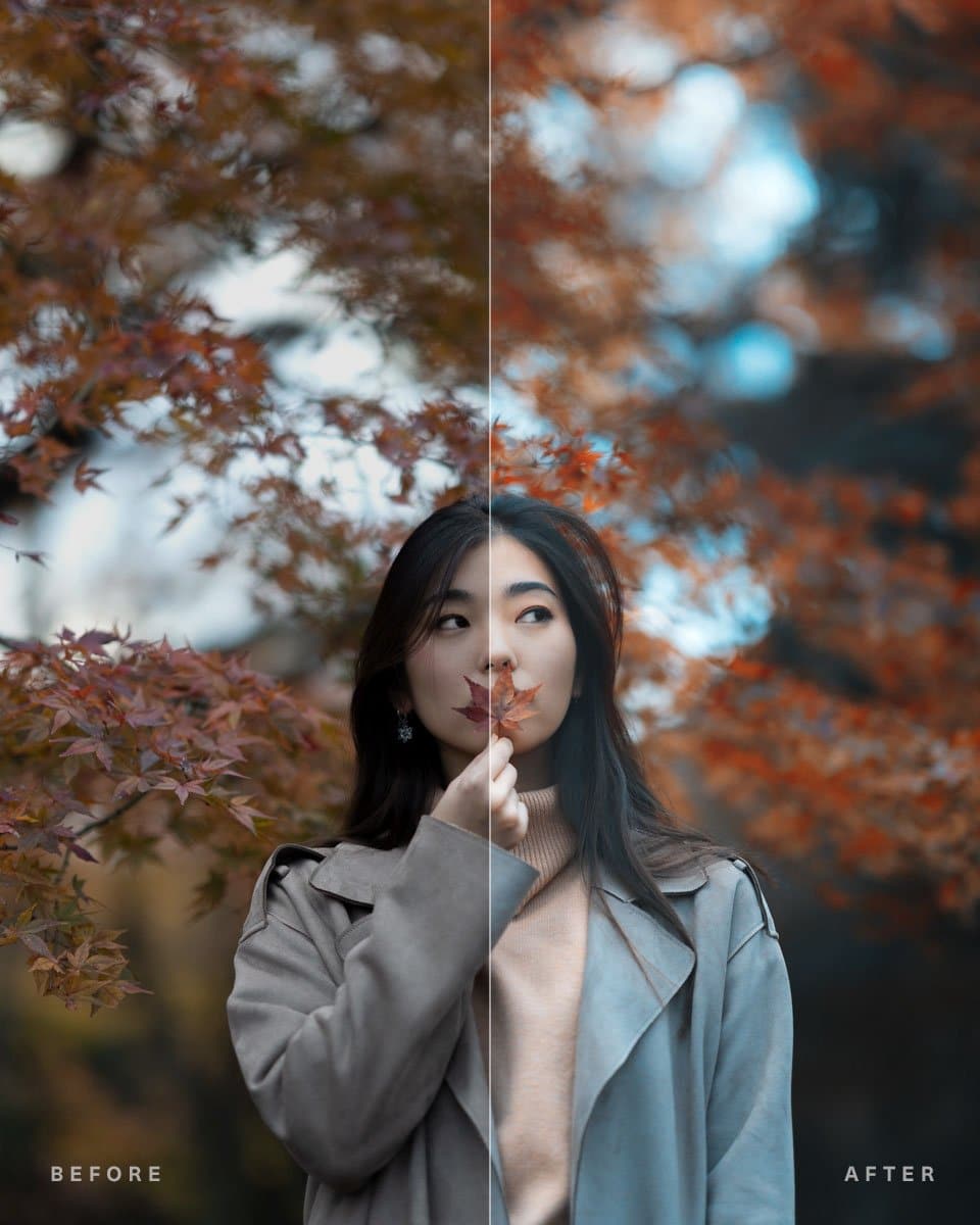 Portrait — Adobe Lightroom Preset Pack
